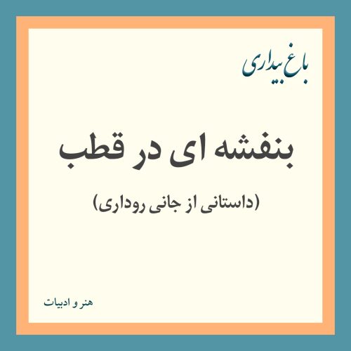بنفشه‌ای در قطب