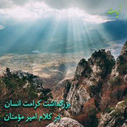 بزرگداشت کرامت انسان در کلام امیر مؤمنان