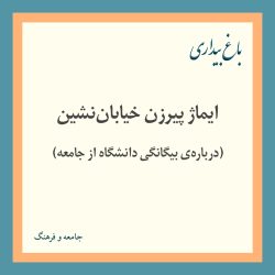 ایماژ پیرزن خیابان‌نشین ـ درباره‌ی بیگانگی دانشگاه از جامعه