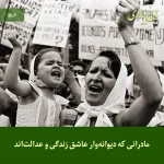 Read more about the article مادرانی که دیوانه‌وار عاشق زندگی و عدالت‌اند