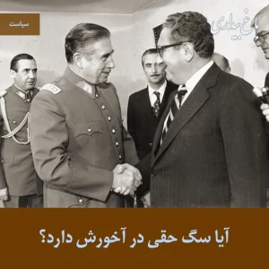 Read more about the article آیا سگ حقی در آخورش دارد؟