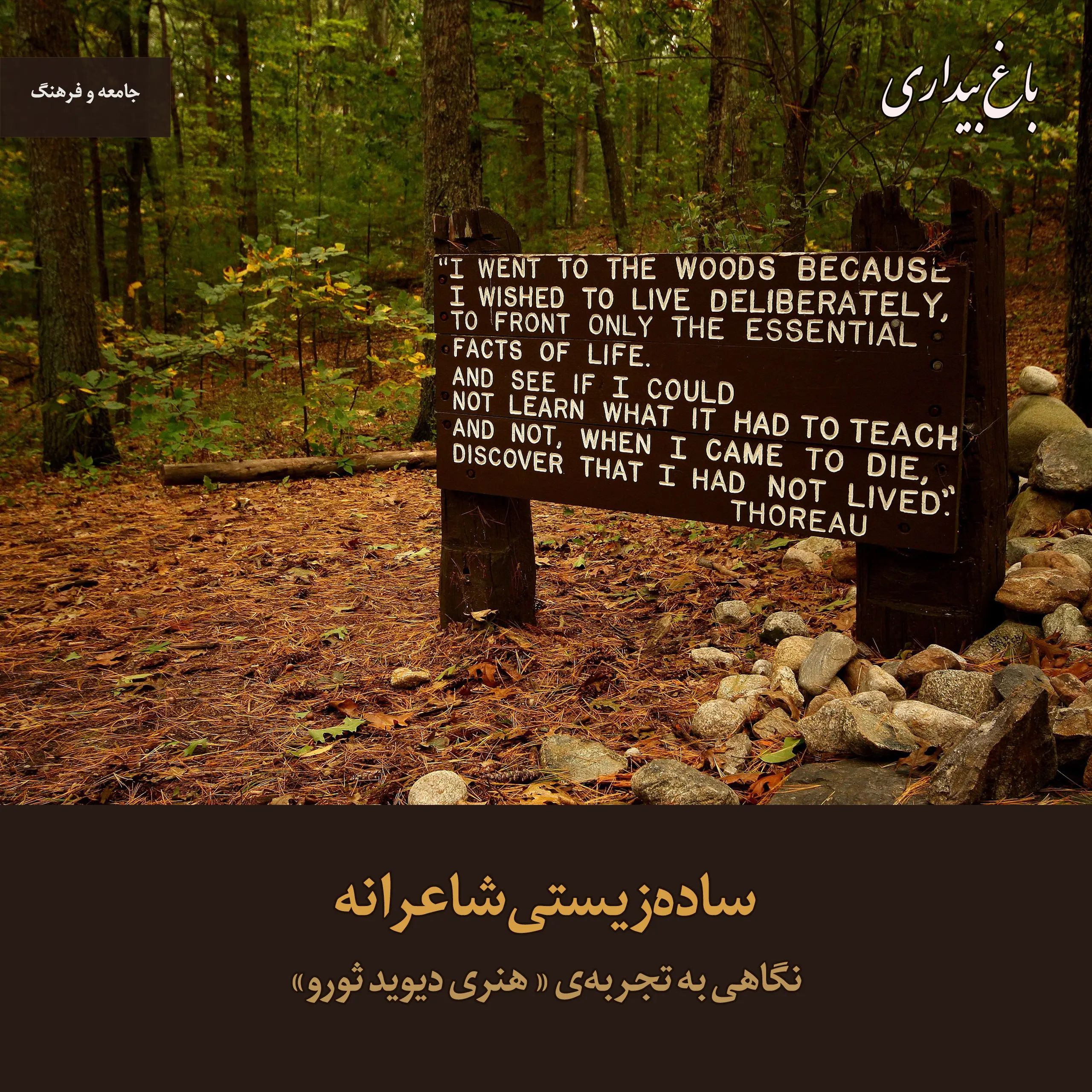 ساده‌زیستی شاعرانه ـ نگاهی به تجربه‌ی «هنری دیوید ثورو»