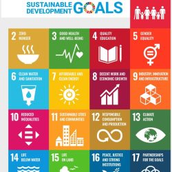 مقدمه‌ای بر سازمان‌های مردم‌نهاد